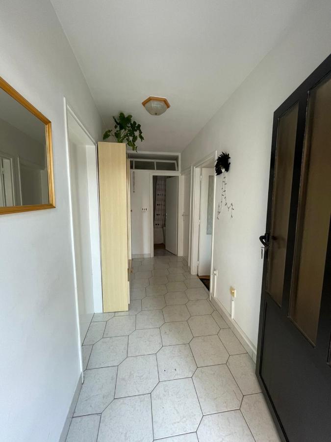 Apartman Renata ซริกเวนิซา ภายนอก รูปภาพ